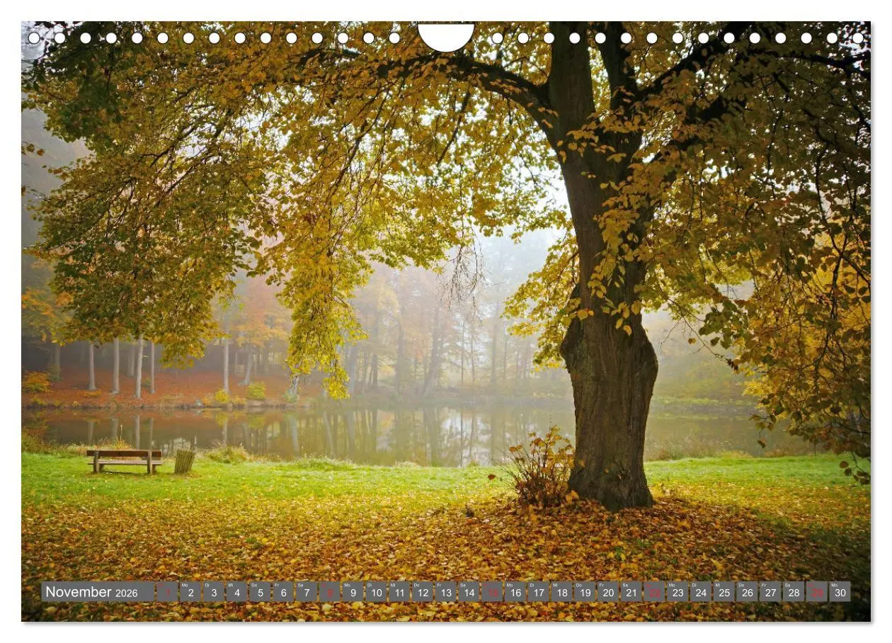 Bild: 9783457774540 | Zauberhafte Schwalm (Wandkalender 2026 DIN A4 quer), CALVENDO...