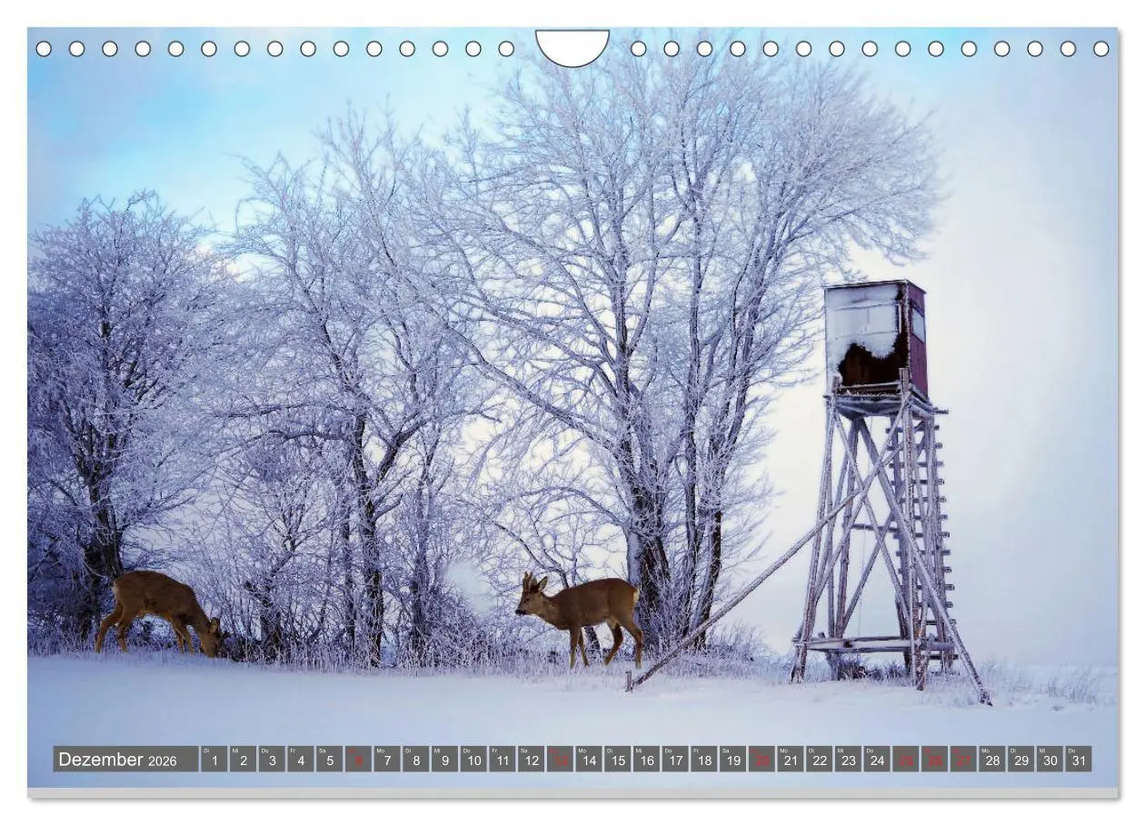 Bild: 9783457774540 | Zauberhafte Schwalm (Wandkalender 2026 DIN A4 quer), CALVENDO...