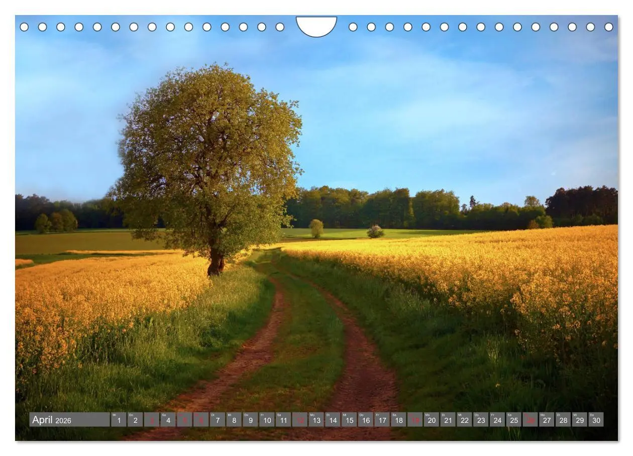 Bild: 9783457774540 | Zauberhafte Schwalm (Wandkalender 2026 DIN A4 quer), CALVENDO...