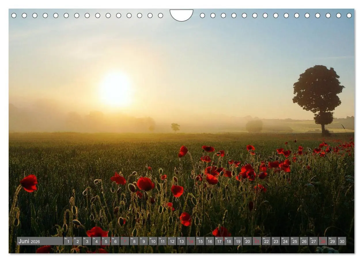 Bild: 9783457774540 | Zauberhafte Schwalm (Wandkalender 2026 DIN A4 quer), CALVENDO...