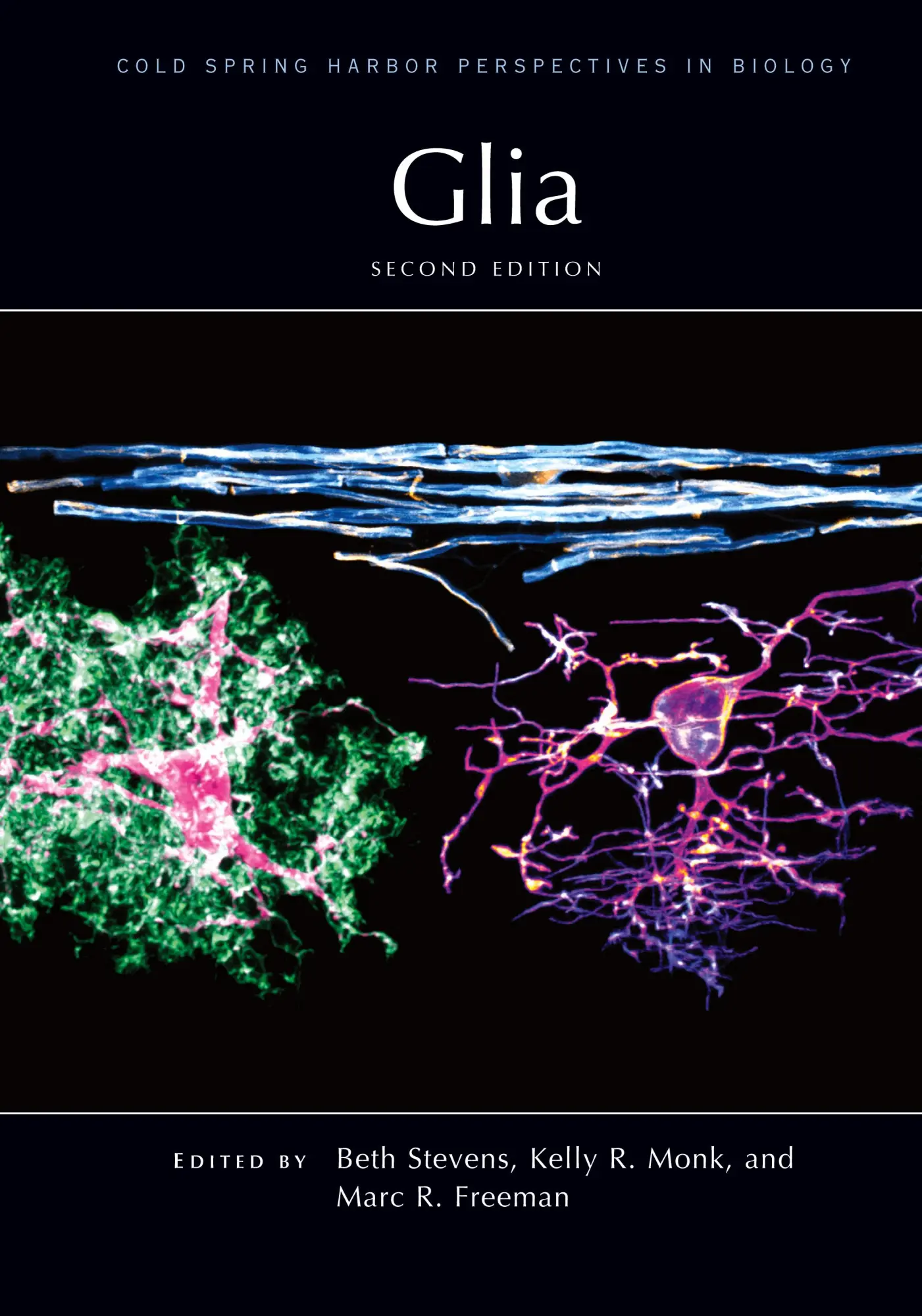 Cover: 9781621824640 | Glia, Second Edition | Kelly Monk (u. a.) | Buch | Englisch | 2024