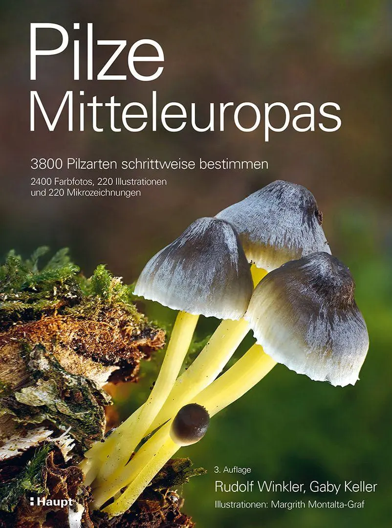 Cover: 9783258084640 | Pilze Mitteleuropas | Rudolf Winkler (u. a.) | Buch | 1056 S. | 2026