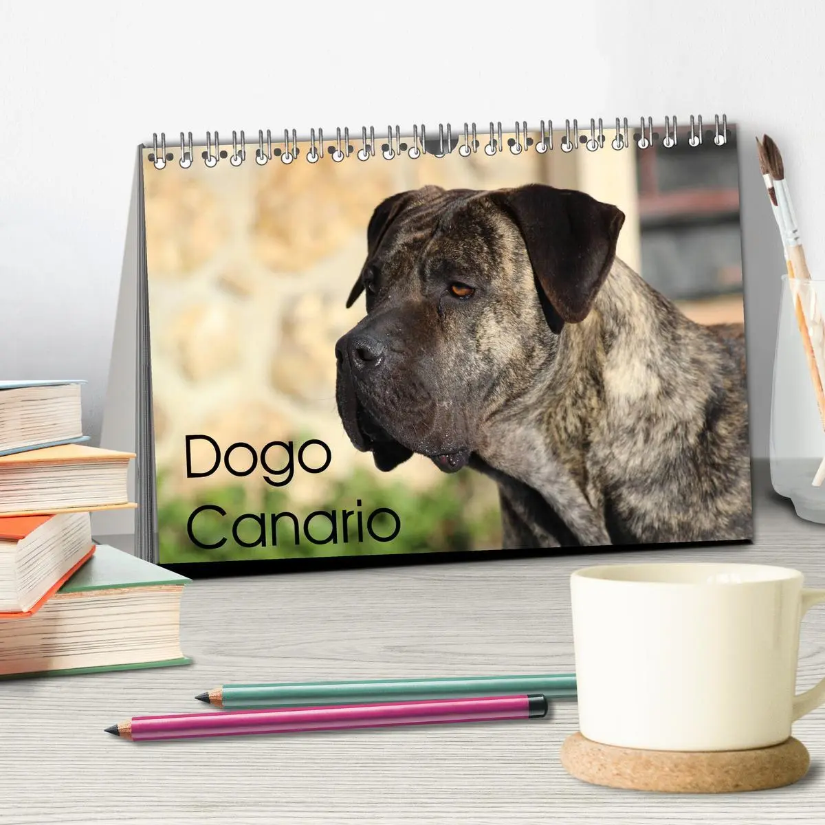 Bild: 9783457764640 | Dogo Canario (Tischkalender 2026 DIN A5 quer), CALVENDO Monatskalender