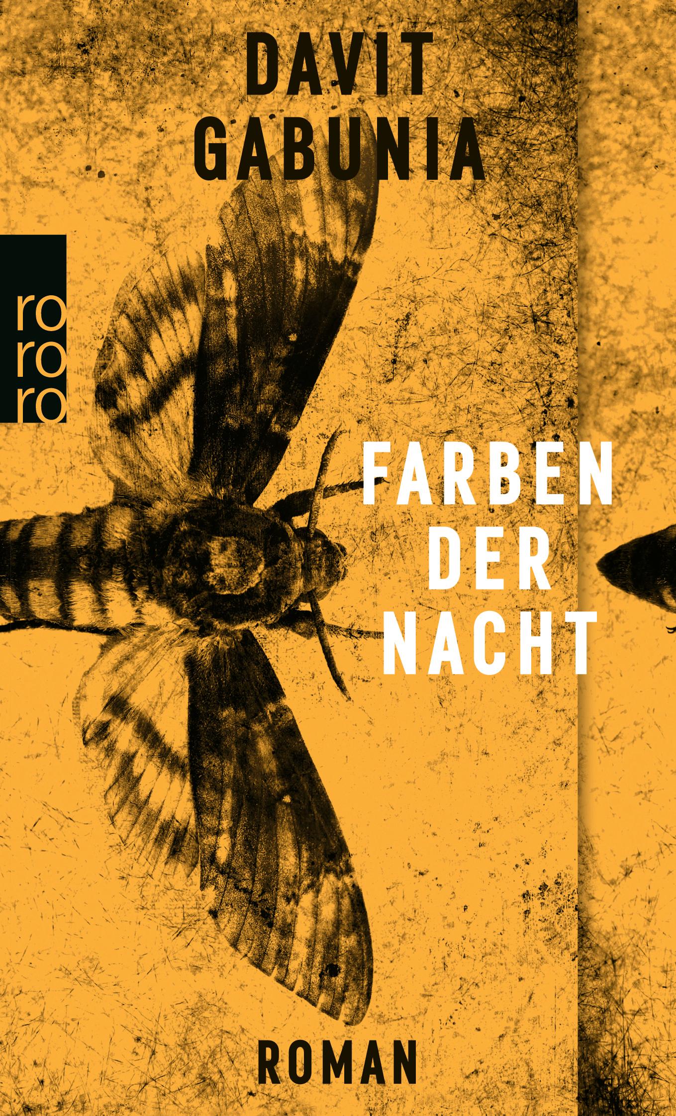 Cover: 9783499274640 | Farben der Nacht | Davit Gabunia | Taschenbuch | 192 S. | Deutsch
