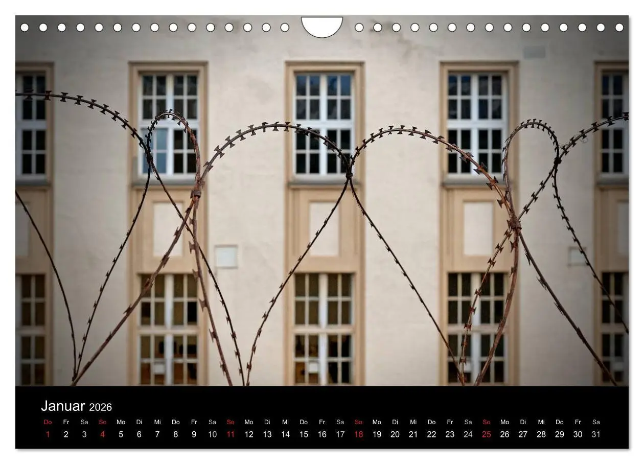Bild: 9783516164640 | Hinter Gittern (Wandkalender 2026 DIN A4 quer), CALVENDO...