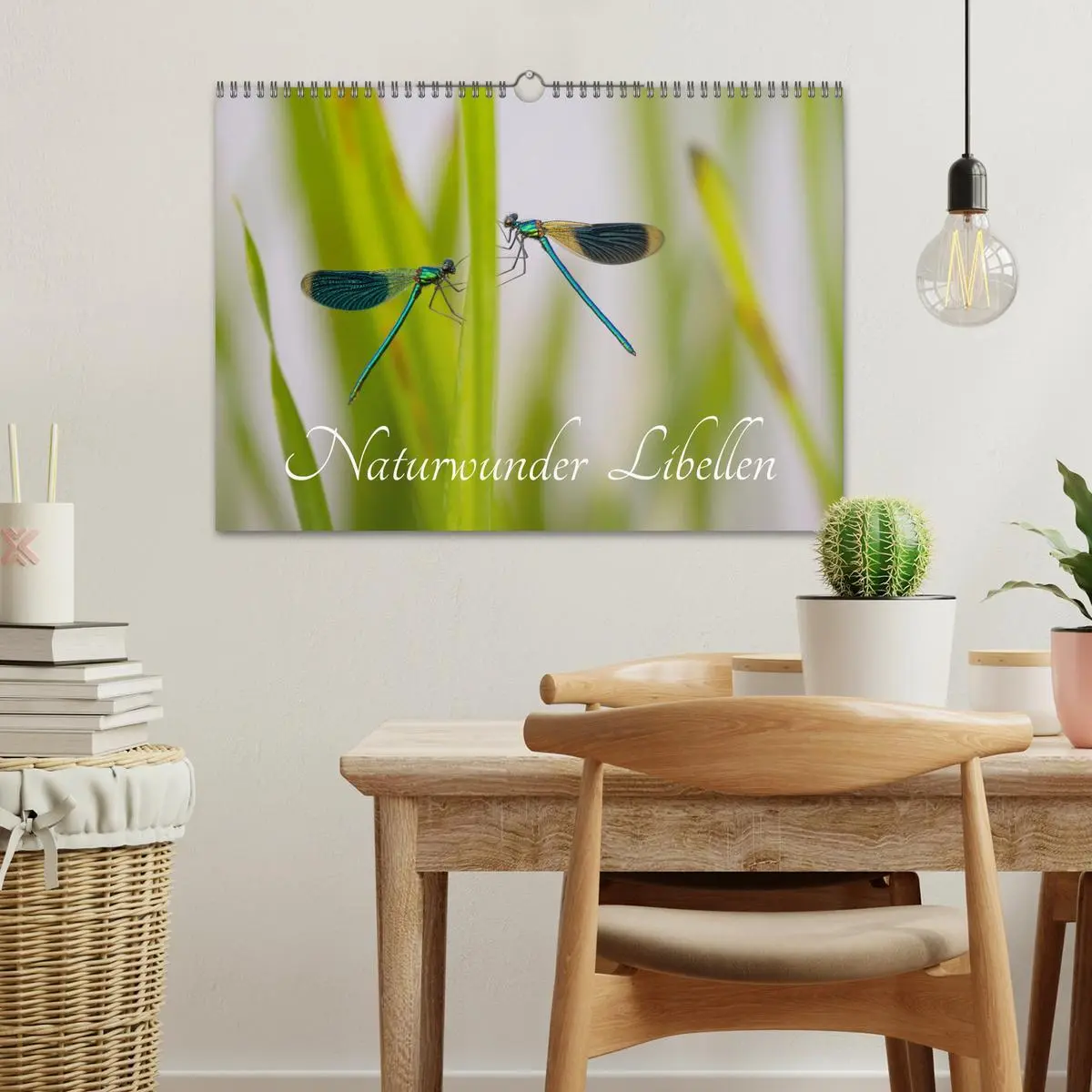 Bild: 9783516234640 | Naturwunder Libellen (Wandkalender 2026 DIN A3 quer), CALVENDO...