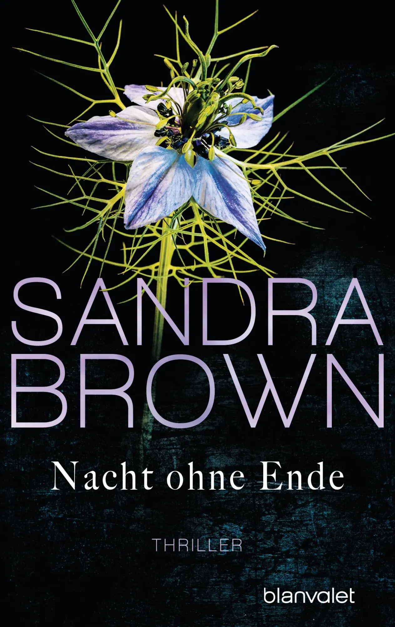 Cover: 9783734104640 | Nacht ohne Ende | Sandra Brown | Taschenbuch | 288 S. | Deutsch | 2017