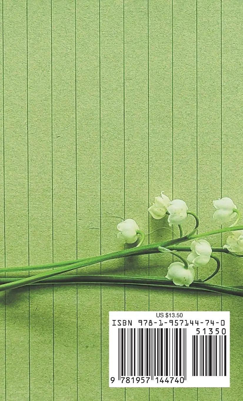 Rückseite: 9781957144740 | THE LAO TZU | Yu An (u. a.) | Taschenbuch | Kartoniert / Broschiert