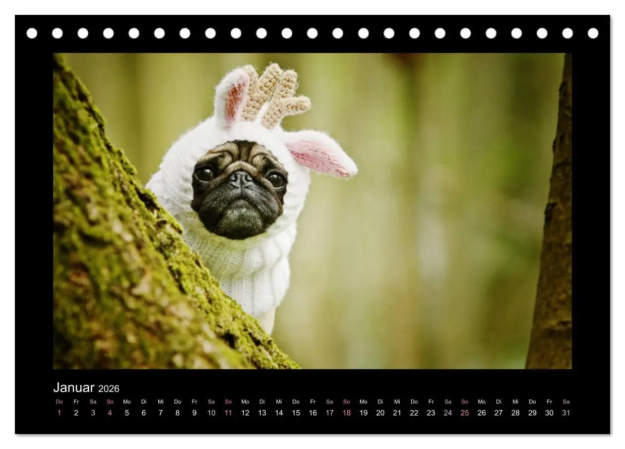 Bild: 9783516084740 | Der Feldfurchen-Mops (Tischkalender 2026 DIN A5 quer), CALVENDO...