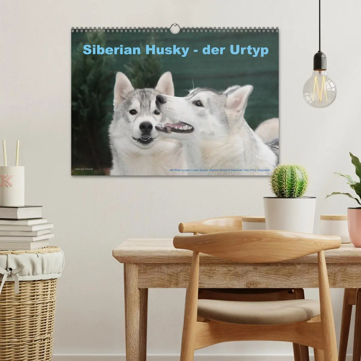 Bild: 9783516154740 | Siberian Husky - der Urtyp (Wandkalender 2026 DIN A3 quer),...