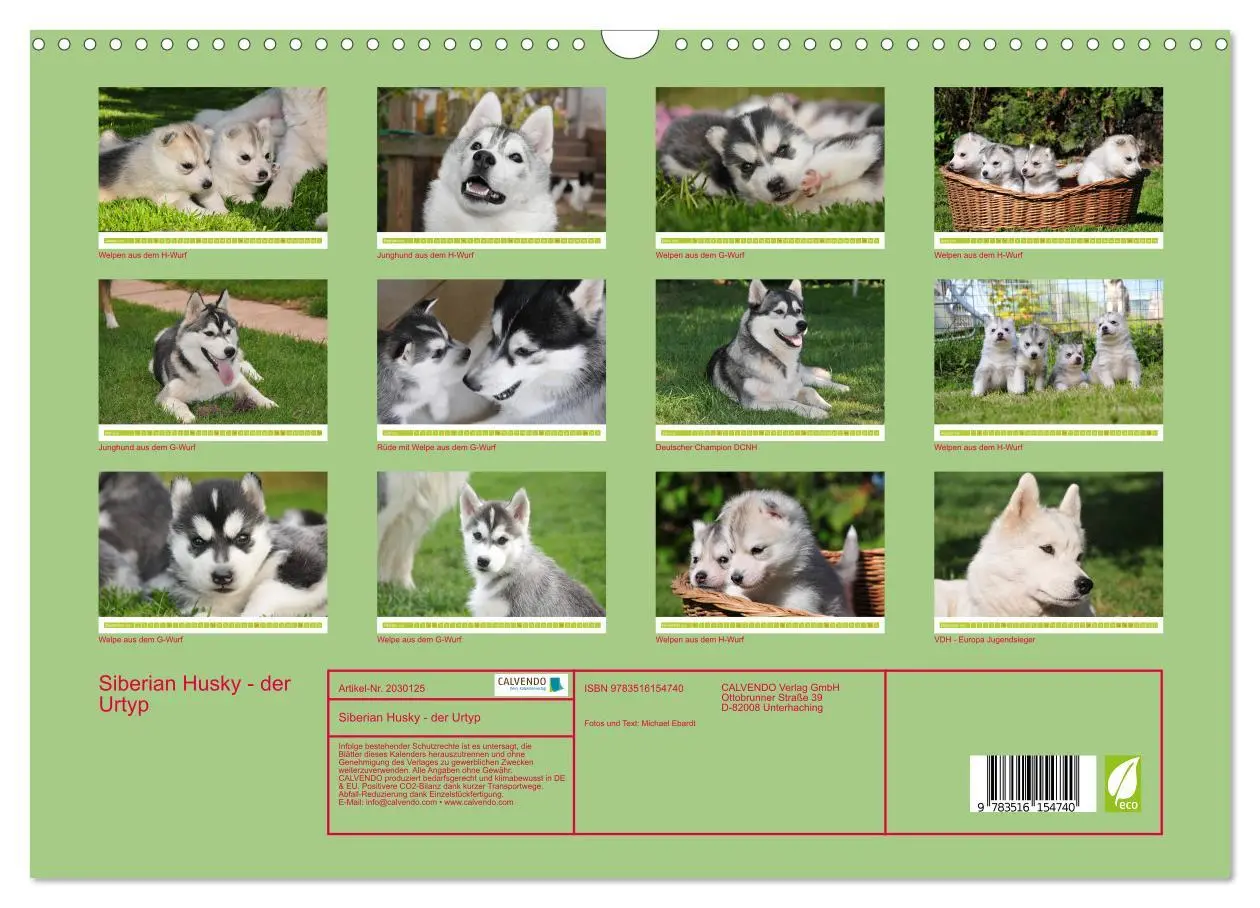 Bild: 9783516154740 | Siberian Husky - der Urtyp (Wandkalender 2026 DIN A3 quer),...