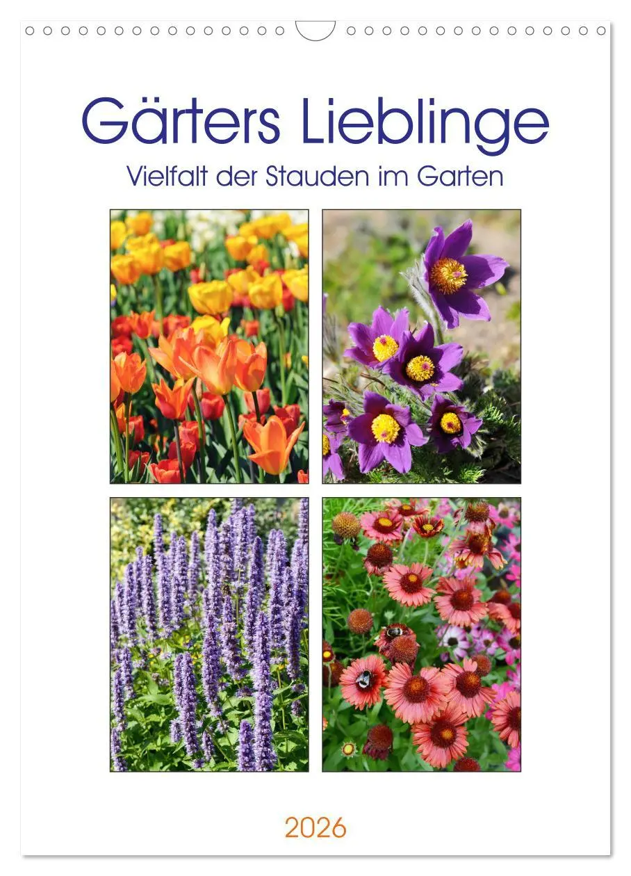 Cover: 9783516394740 | Gärtners Lieblinge - Vielfalt der Stauden im Garten (Wandkalender...