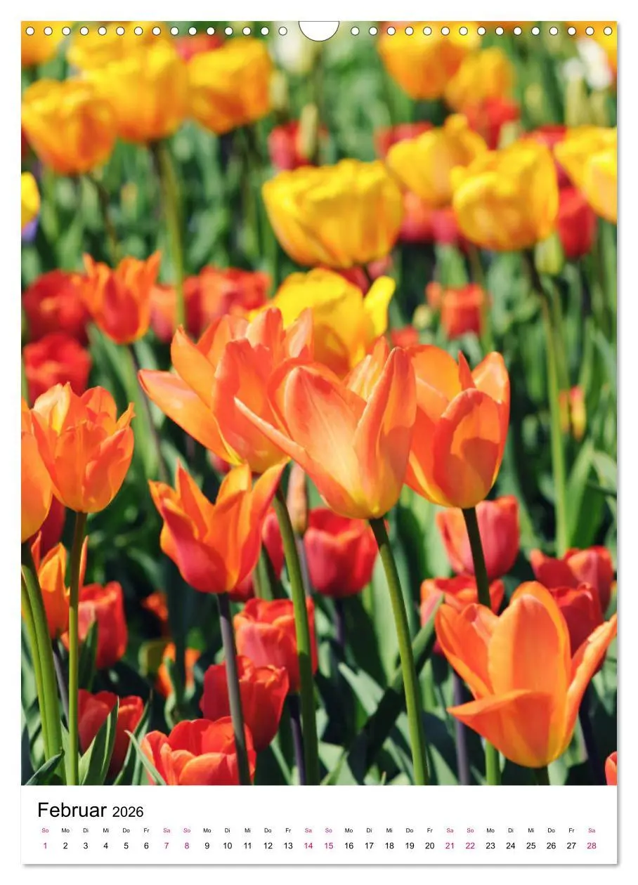 Bild: 9783516394740 | Gärtners Lieblinge - Vielfalt der Stauden im Garten (Wandkalender...