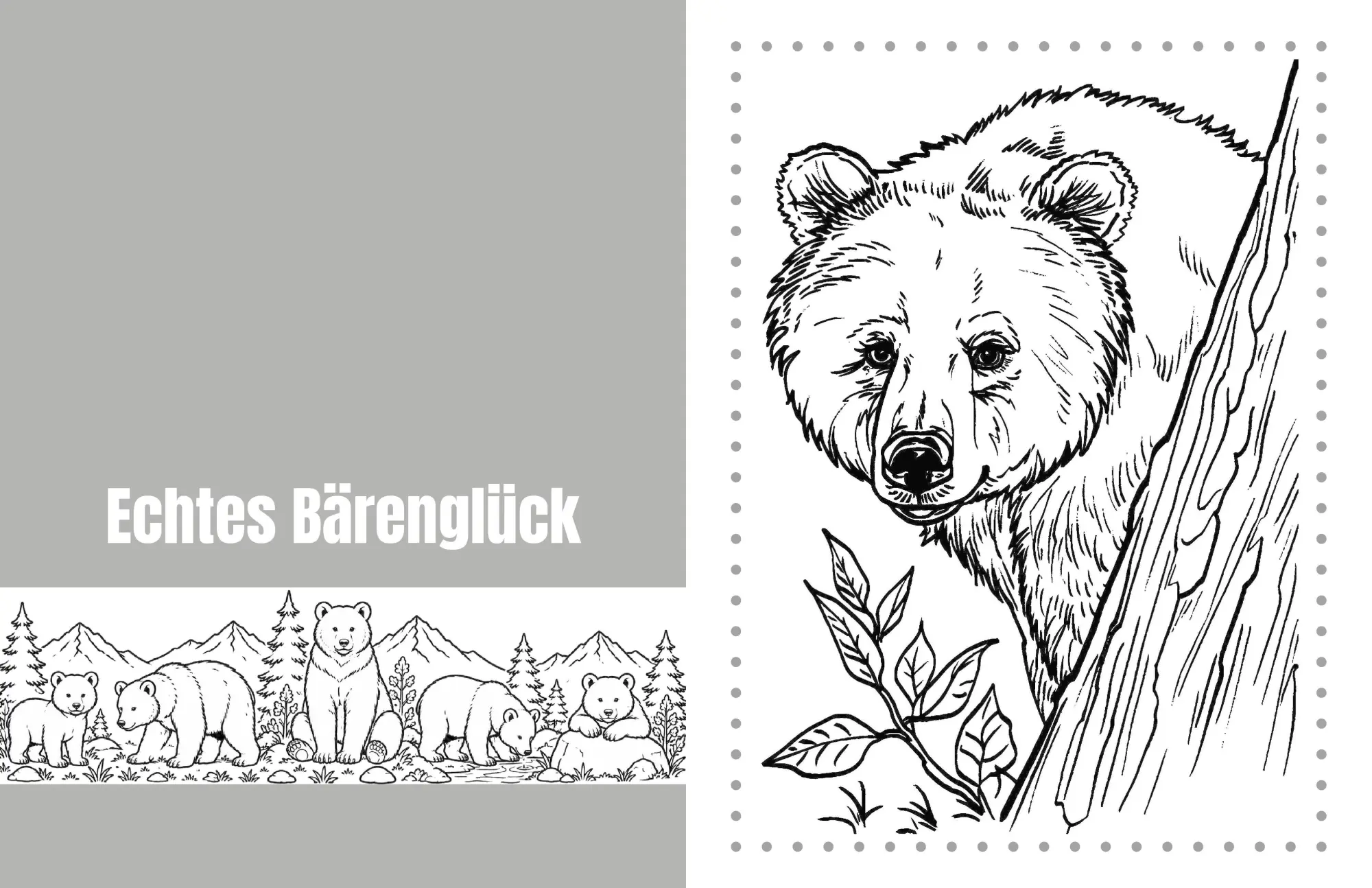 Bild: 9783990514740 | Bärenträume - Entspannung - Natur - Achtsamkeit | Nanja Holland | Buch