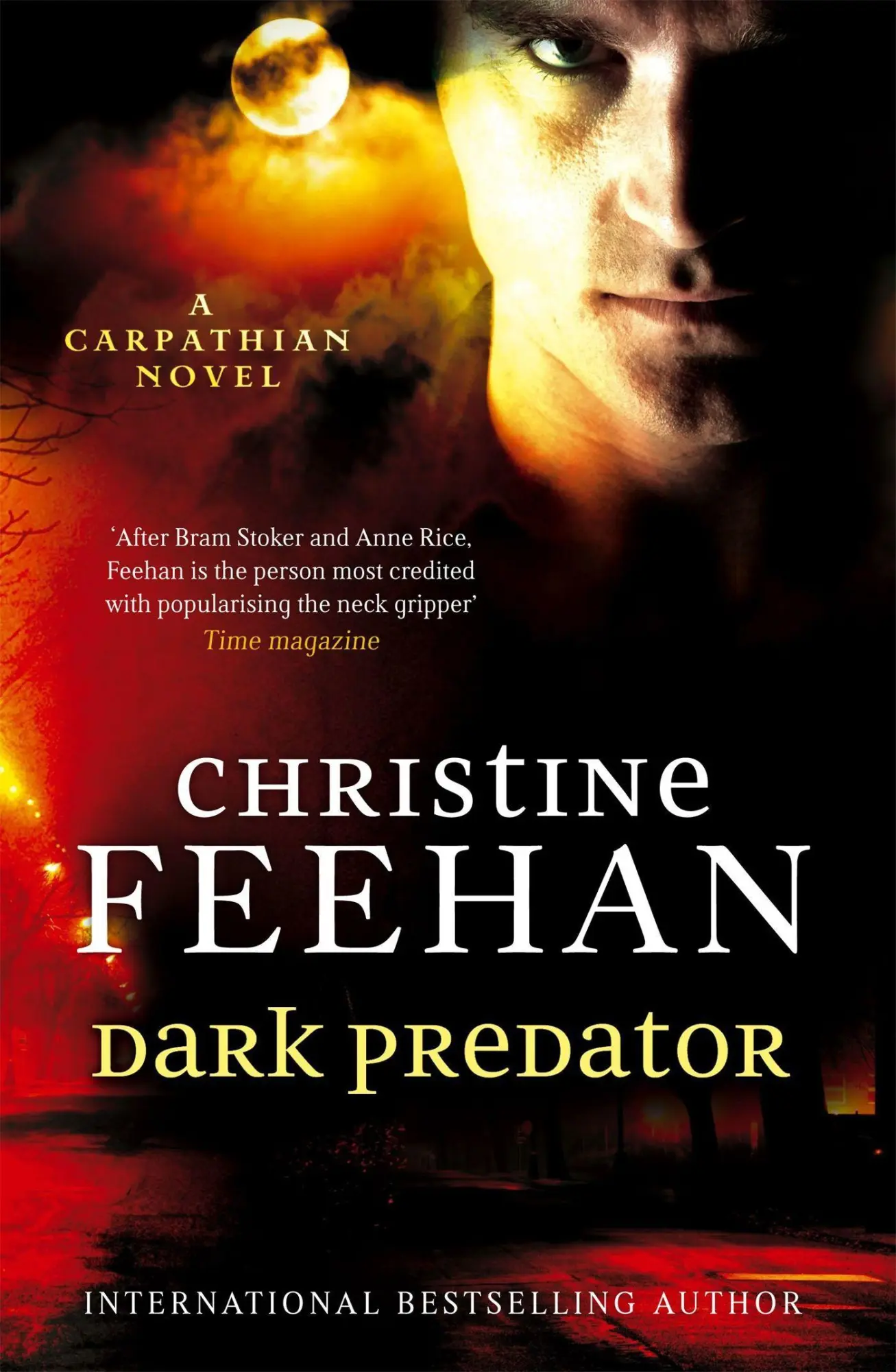Cover: 9780749954840 | Dark Predator | Number 22 in series | Christine Feehan | Taschenbuch