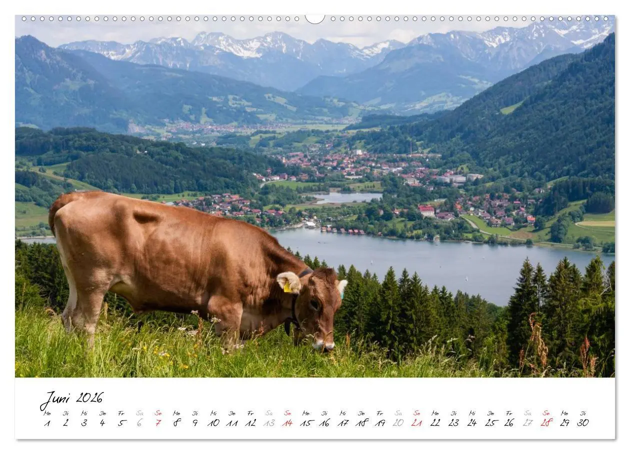 Bild: 9783516074840 | Oberallgäuer Landschaft (hochwertiger Premium Wandkalender 2026 DIN...