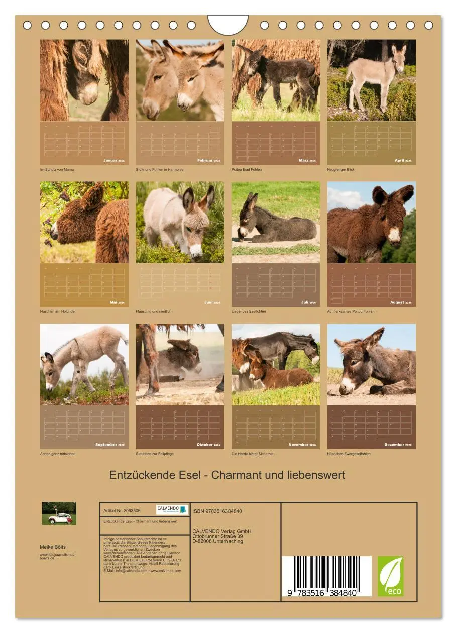 Bild: 9783516384840 | Entzückende Esel - Charmant und liebenswert (Wandkalender 2026 DIN...