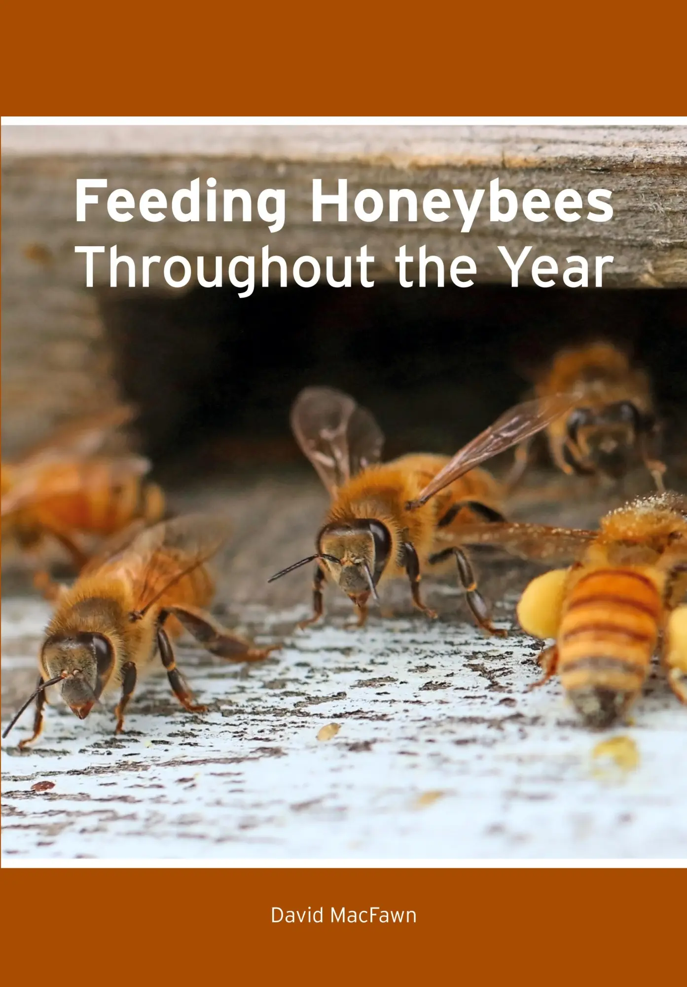 Cover: 9781914934940 | Feeding Honeybees Throughout the Year | David Macfawn | Taschenbuch