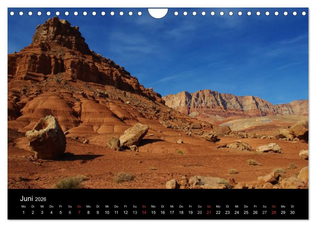 Bild: 9783516204940 | Wild beauty of Arizona (Wandkalender 2026 DIN A4 quer), CALVENDO...