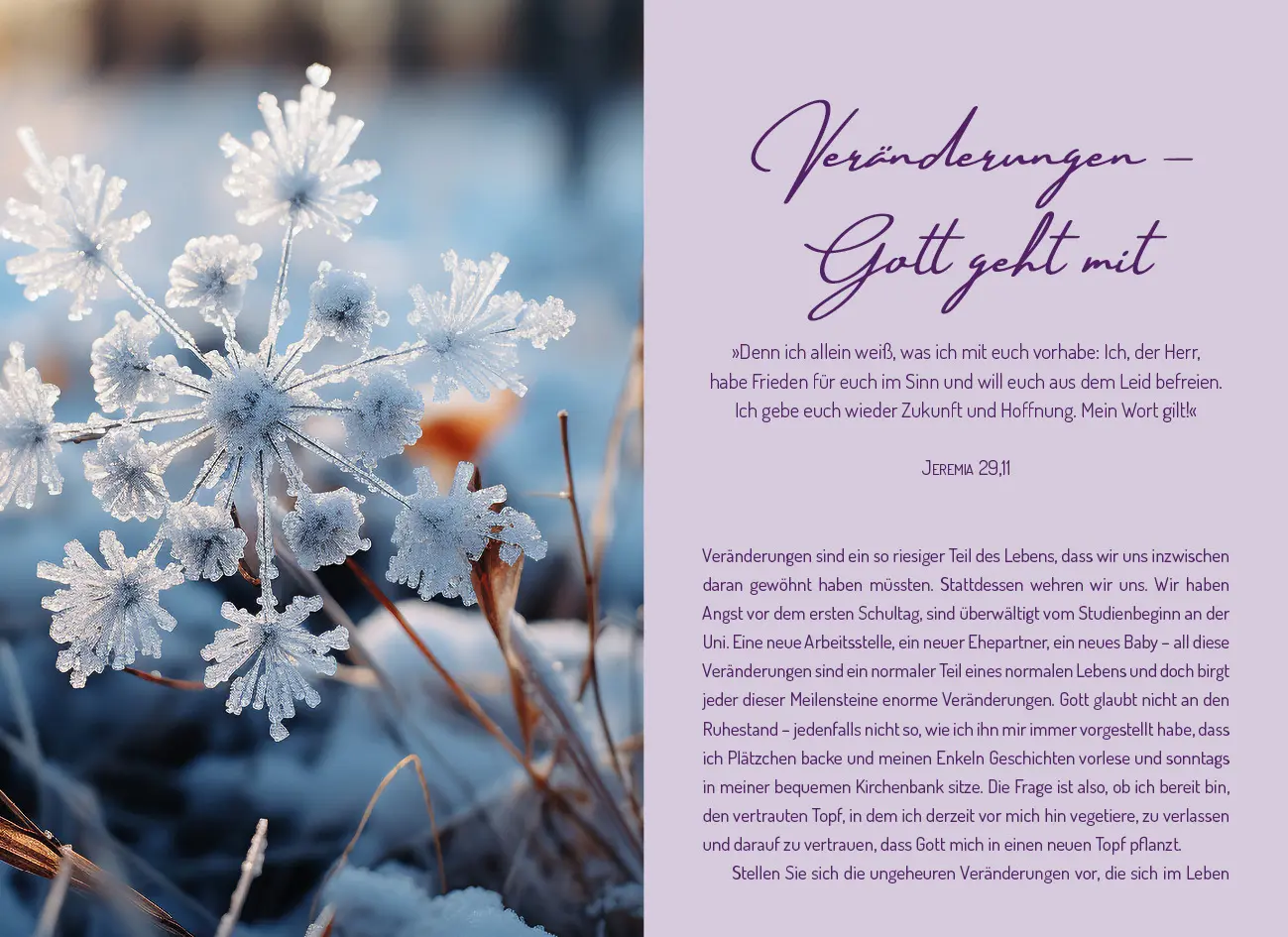 Bild: 9783963624940 | Meine Oasenzeiten 2027 | Der Lynn-Austin-Taschenkalender | Lynn Austin