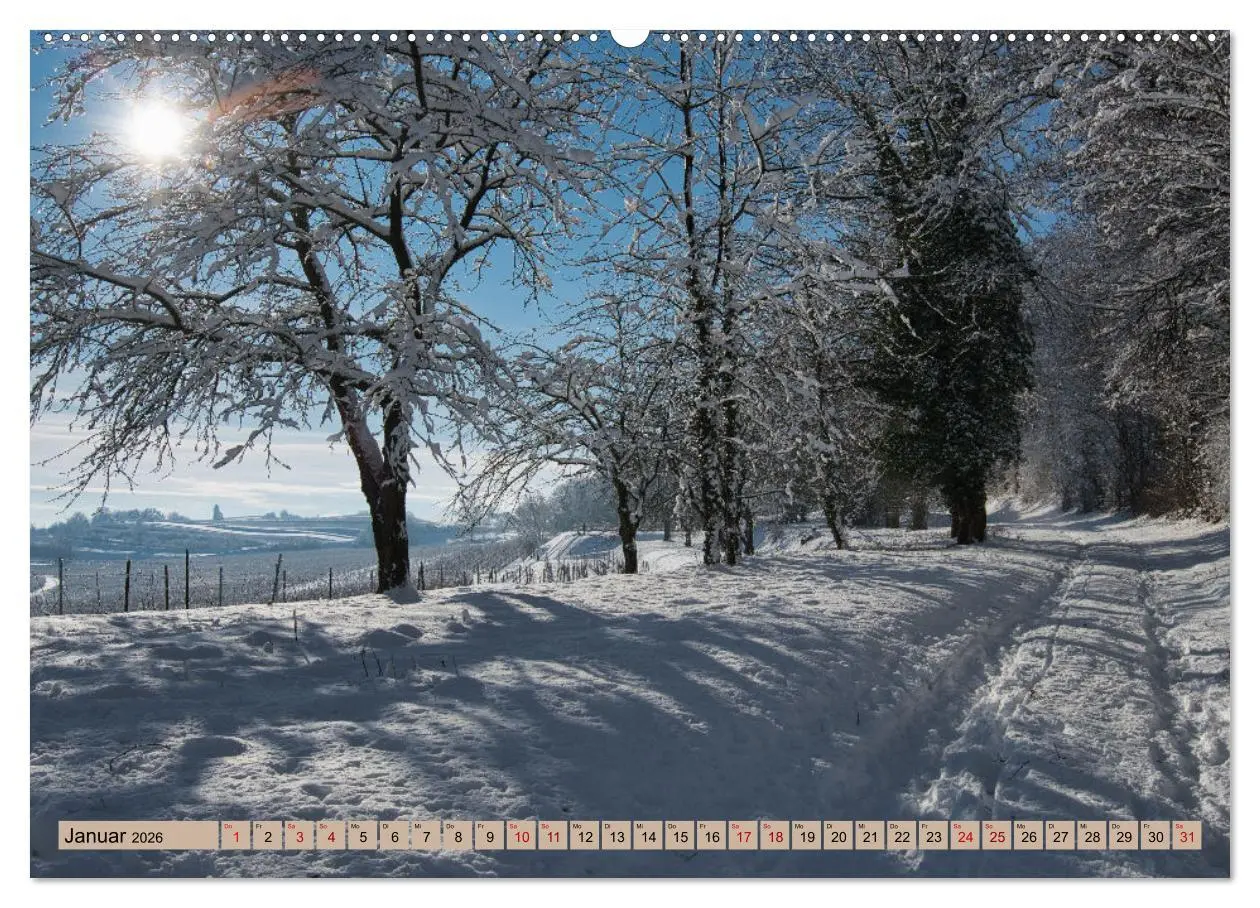 Bild: 9783457625040 | Ortenau - die badische Toskana (Wandkalender 2026 DIN A2 quer),...