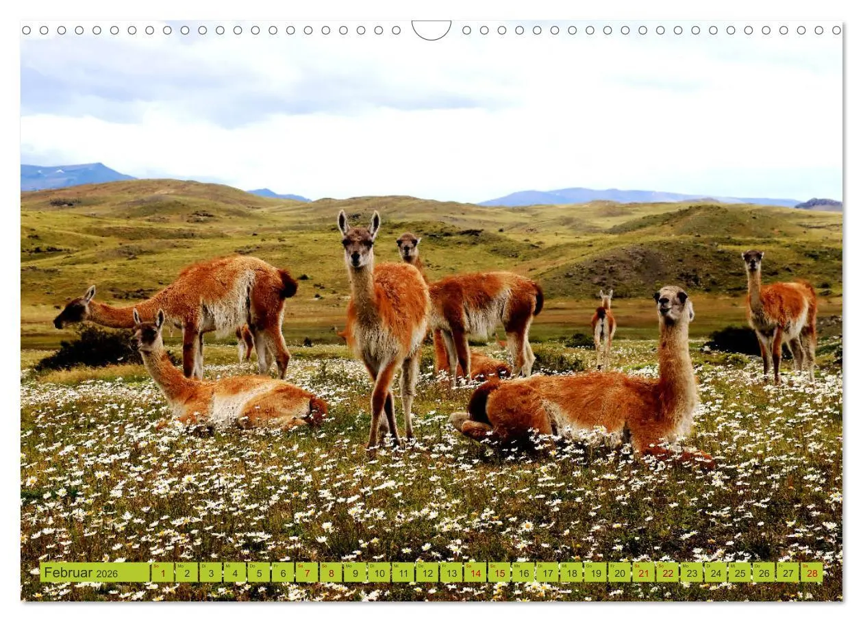 Bild: 9783457935040 | Märchenwelt Patagonien (Wandkalender 2026 DIN A3 quer), CALVENDO...
