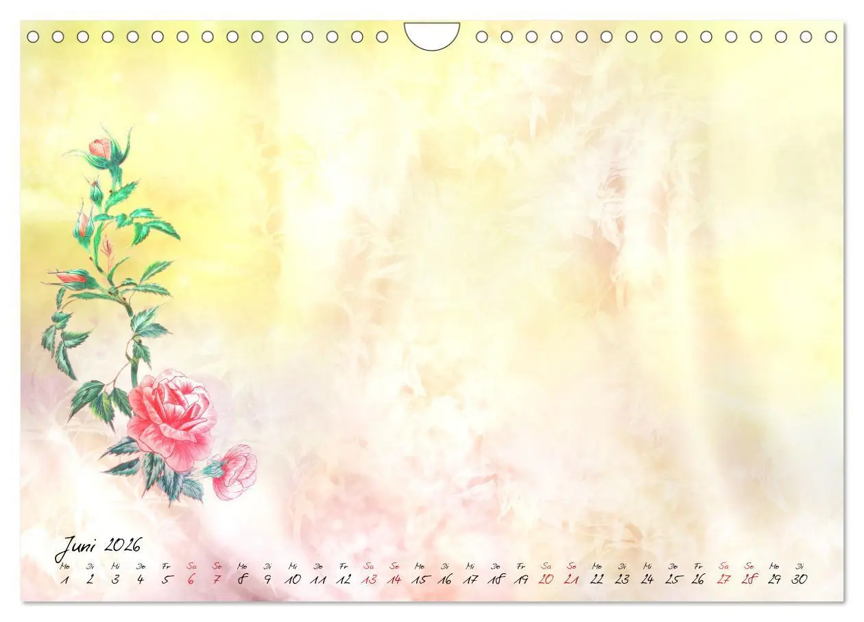 Bild: 9783516025040 | Liebe wird im Herzen geboren (Wandkalender 2026 DIN A4 quer),...