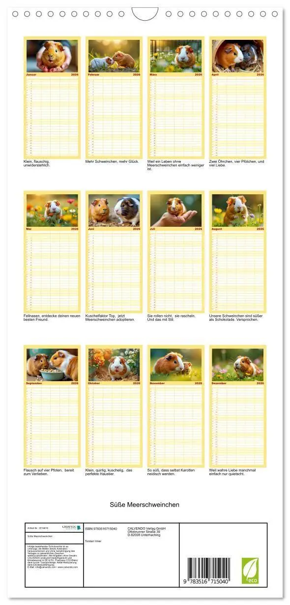 Bild: 9783516715040 | Familienplaner 2026 - Süße Meerschweinchen mit 5 Spalten...