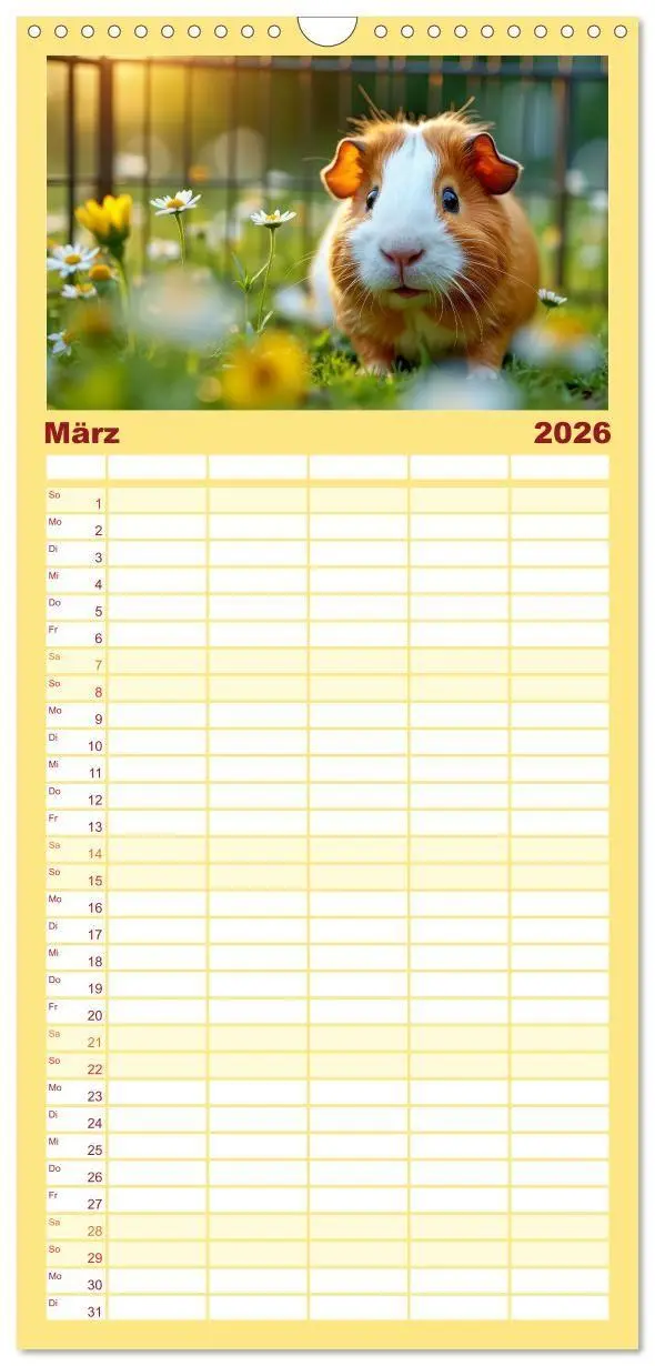 Bild: 9783516715040 | Familienplaner 2026 - Süße Meerschweinchen mit 5 Spalten...