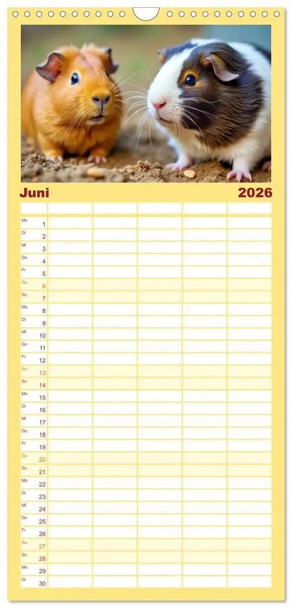 Bild: 9783516715040 | Familienplaner 2026 - Süße Meerschweinchen mit 5 Spalten...