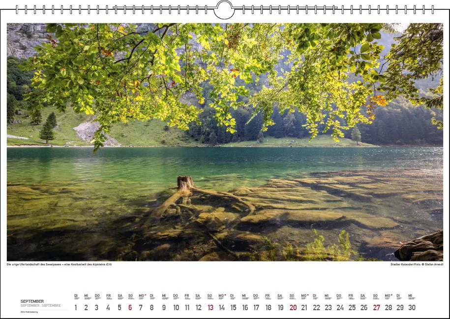 Bild: 9783861925040 | Bodensee Wasser.Berge.Licht 2026 | Stefan Arendt | Kalender | 13 S.