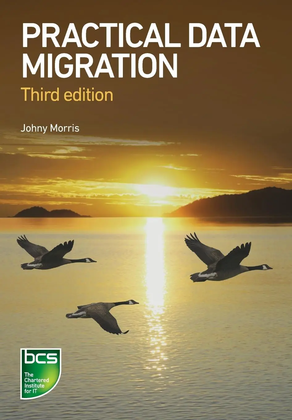 Cover: 9781780175140 | Practical Data Migration | Johny Morris | Taschenbuch | Englisch