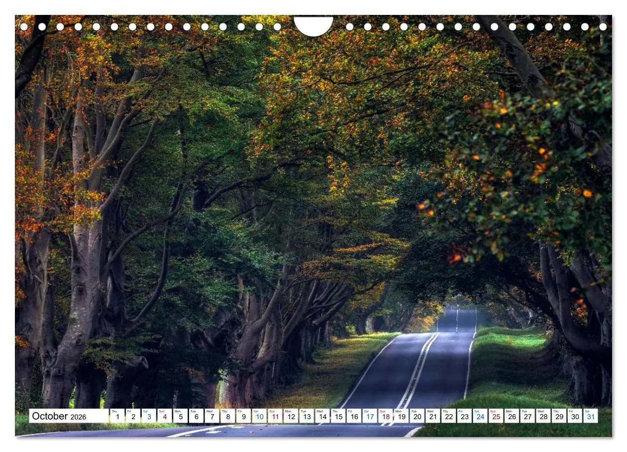 Bild: 9783516565140 | Dorset (Wall Calendar 2026 DIN A4 landscape), CALVENDO 12 Month...