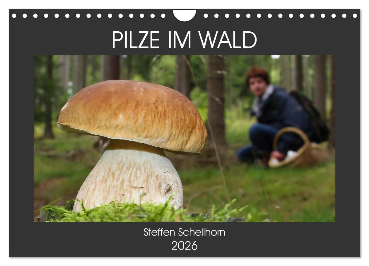 Cover: 9783457915240 | PILZE IM WALD (Wandkalender 2026 DIN A4 quer), CALVENDO Monatskalender