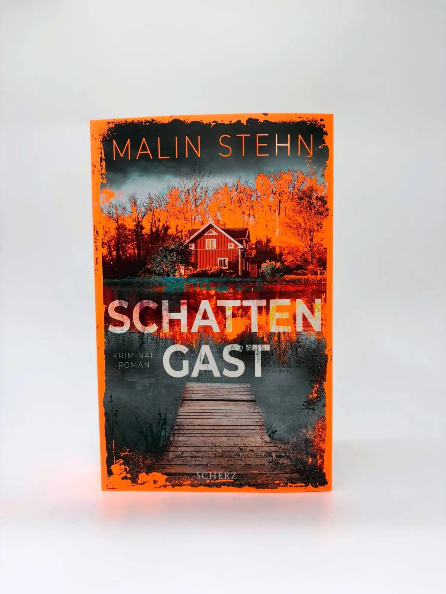 Bild: 9783651025240 | Schattengast | Malin Stehn | Taschenbuch | 448 S. | Deutsch | 2026