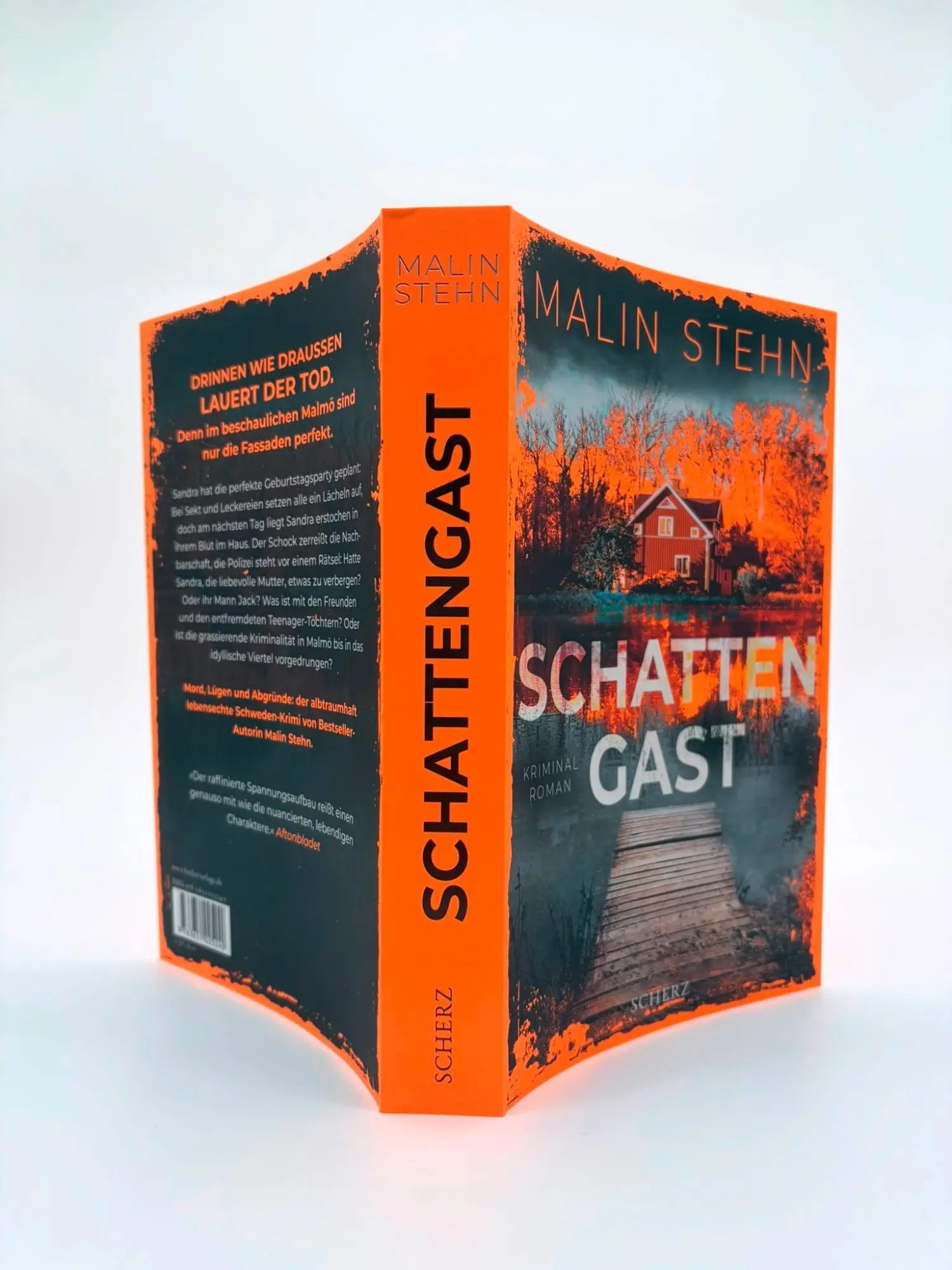 Bild: 9783651025240 | Schattengast | Malin Stehn | Taschenbuch | 448 S. | Deutsch | 2026