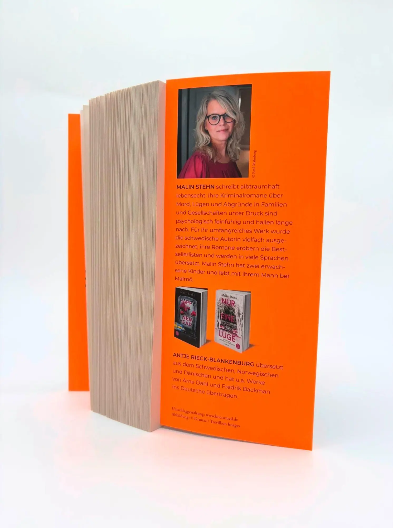 Bild: 9783651025240 | Schattengast | Malin Stehn | Taschenbuch | 448 S. | Deutsch | 2026