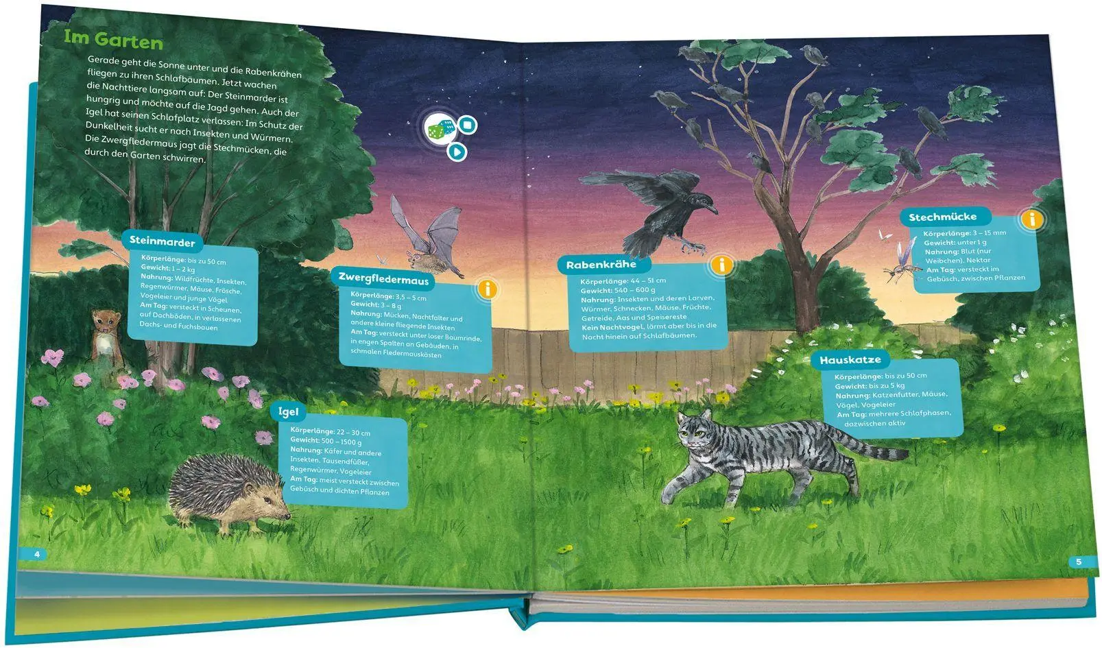 Bild: 9783788675240 | BOOKii® Hören und Staunen Tiere in der Nacht | Bärbel Oftring | Buch