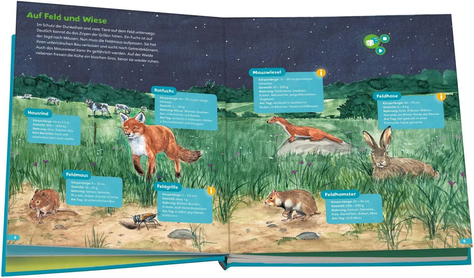 Bild: 9783788675240 | BOOKii® Hören und Staunen Tiere in der Nacht | Bärbel Oftring | Buch