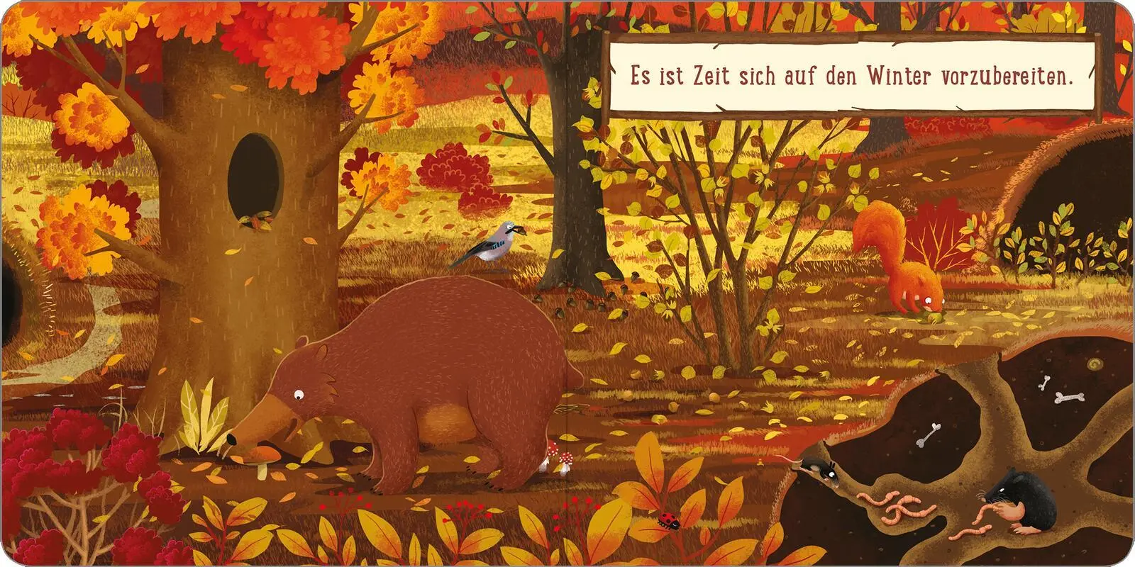Bild: 9783845855240 | Ein Tag im Wald: Kleines Eichhörnchen | Emilia Dziubak | Buch | 30 S.