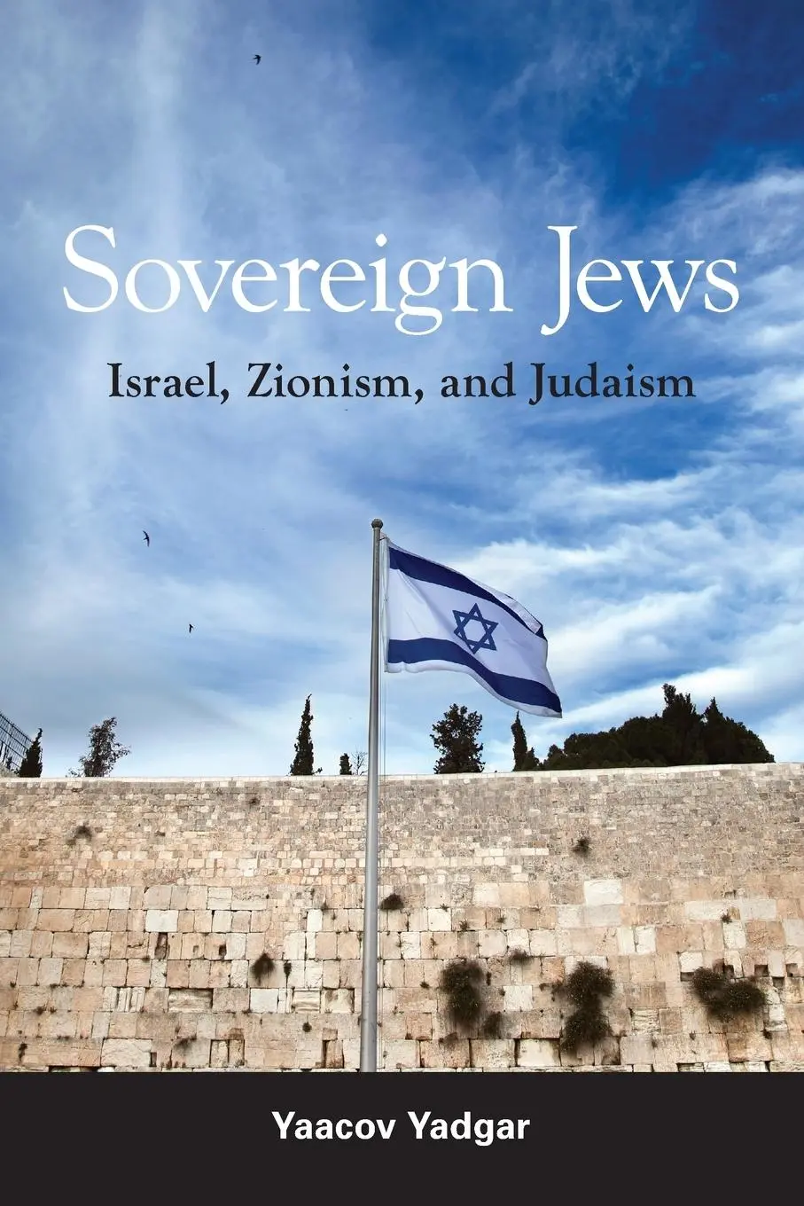 Cover: 9781438465340 | Sovereign Jews | Israel, Zionism, and Judaism | Yaacov Yadgar | Buch