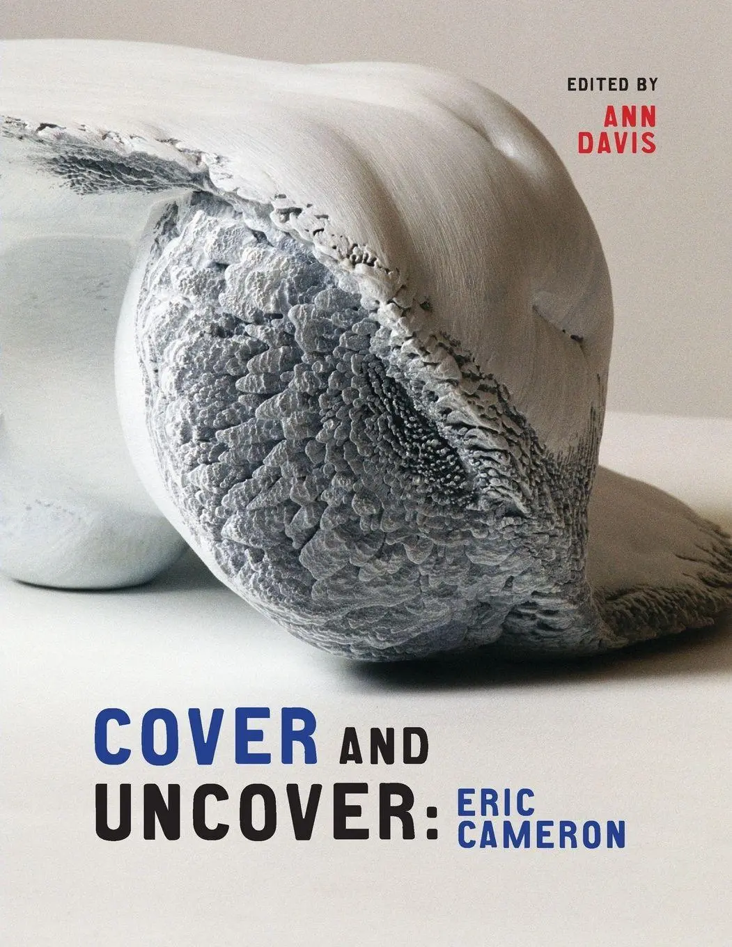 Cover: 9781552385340 | Cover and Uncover | Eric Cameron | Ann Davis | Taschenbuch | Englisch