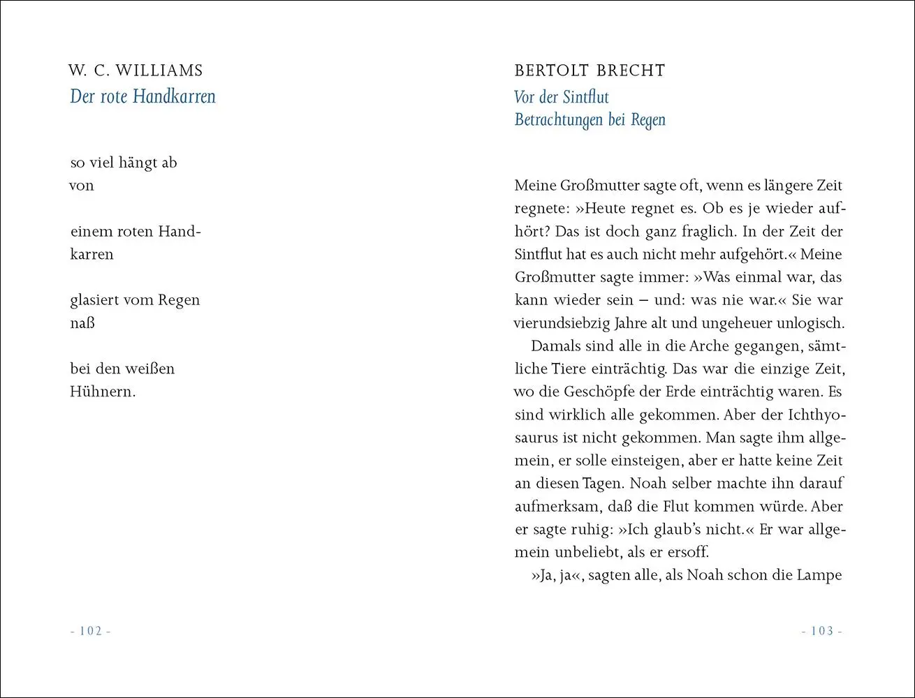 Bild: 9783458205340 | 'Ein kleiner Regen macht nicht nass' | Paula Schmid | Buch | 124 S.