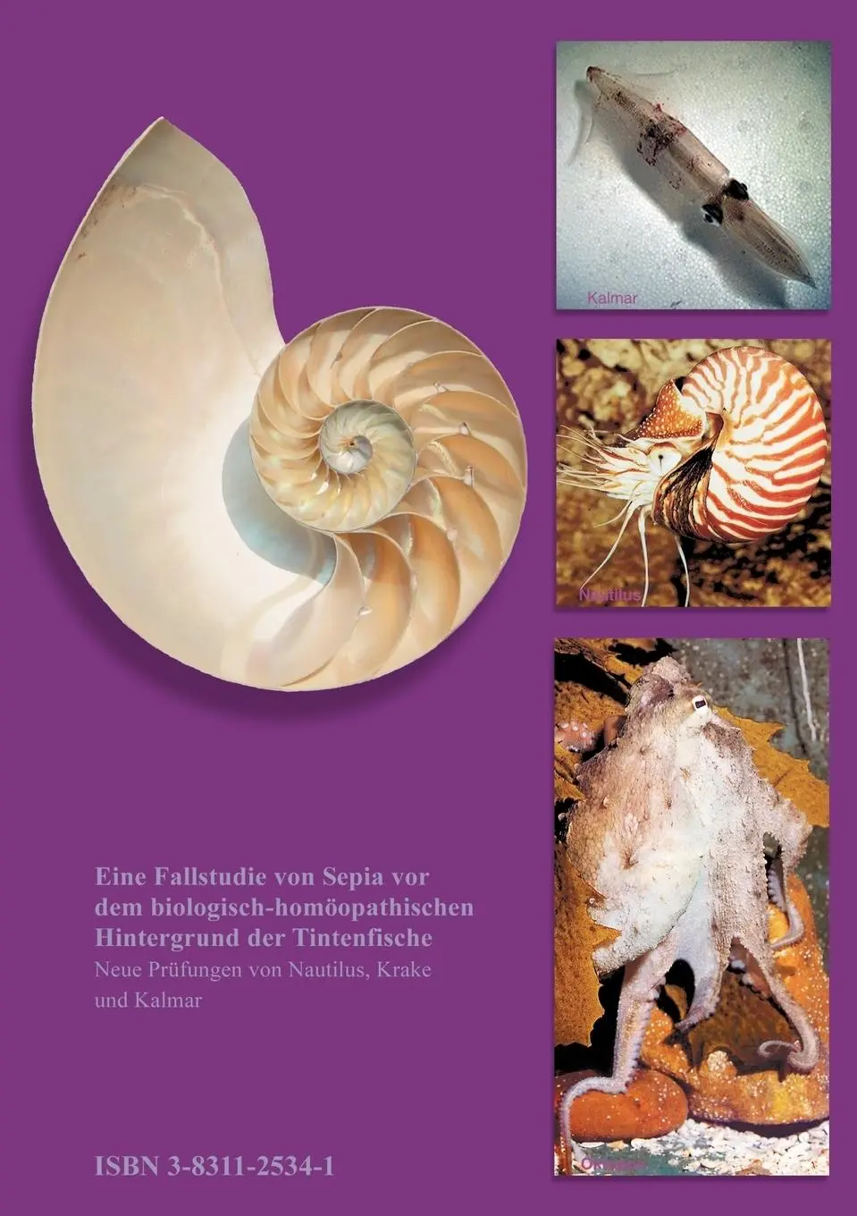 Rückseite: 9783831125340 | Sepia und die Tintenfischfamilie | Gerhard Ruster | Taschenbuch | 2001