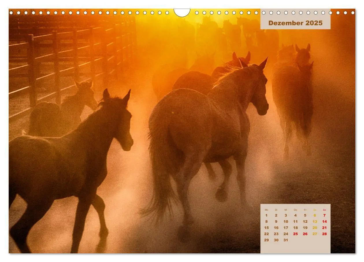 Bild: 9783435105540 | Pferde - Andalusiens wilder Westen (Wandkalender 2025 DIN A3 quer),...
