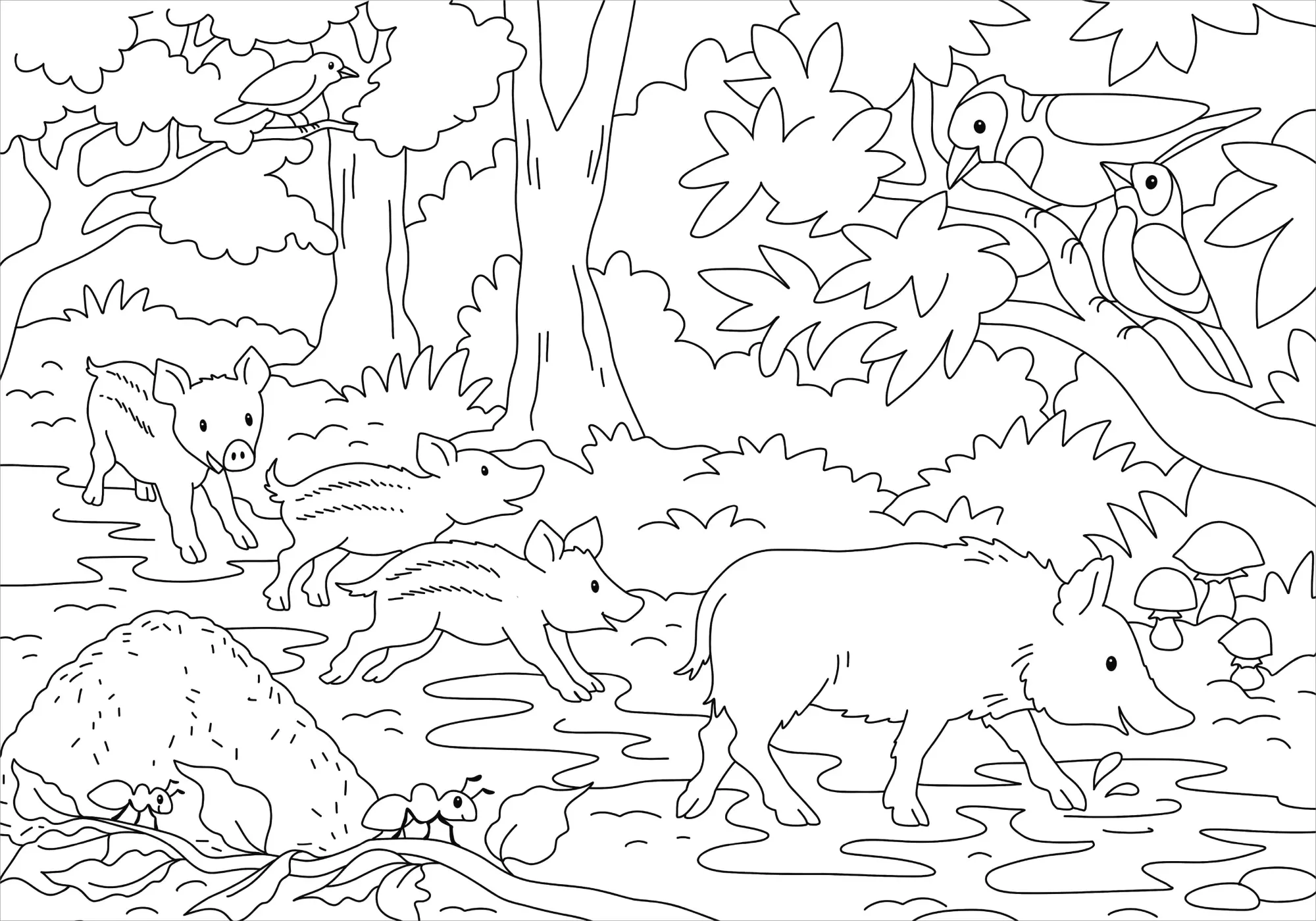Bild: 9783788645540 | Mein schönstes Malbuch. Wald und Wiese | Malen für Kinder ab 5 Jahren