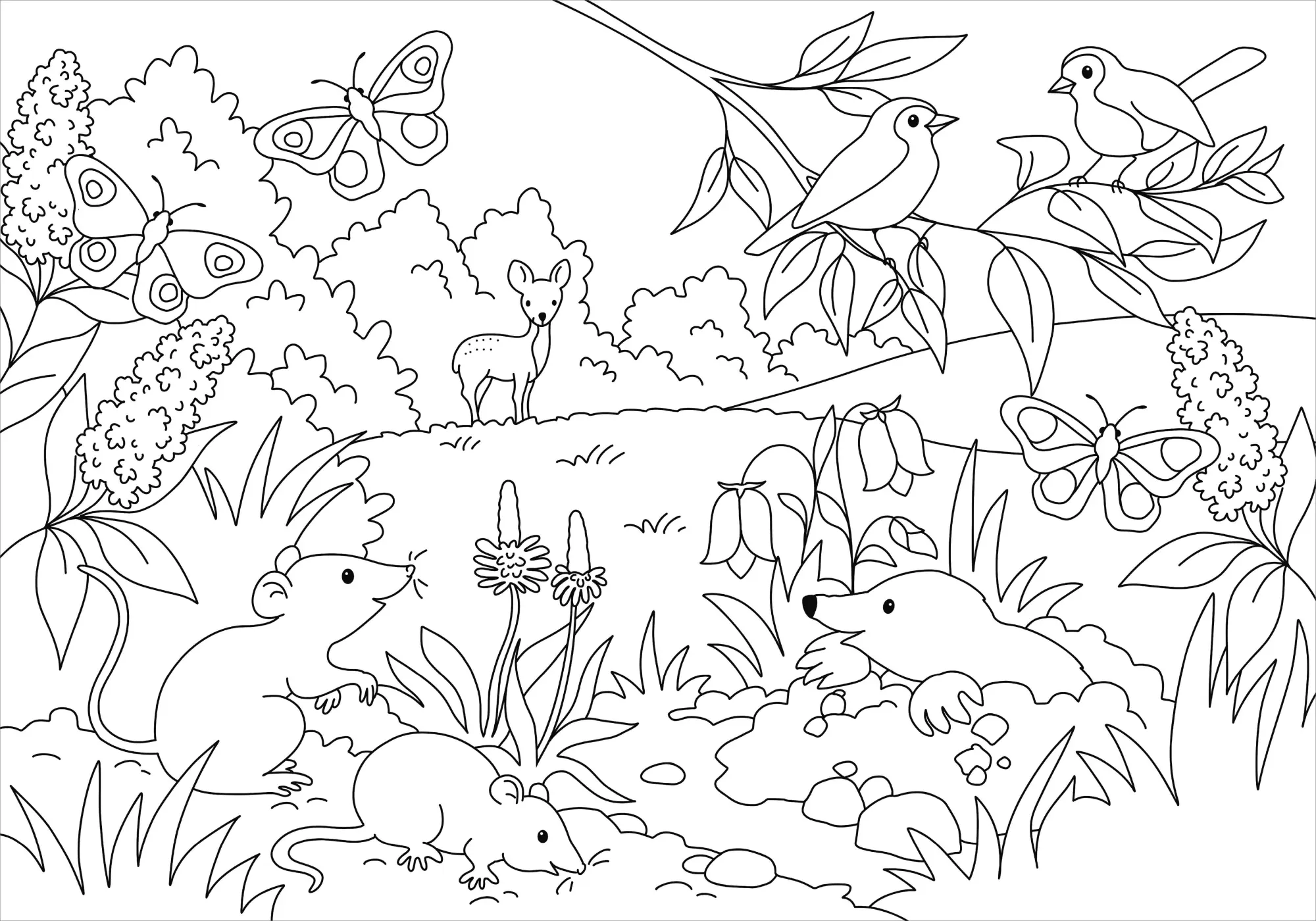 Bild: 9783788645540 | Mein schönstes Malbuch. Wald und Wiese | Malen für Kinder ab 5 Jahren