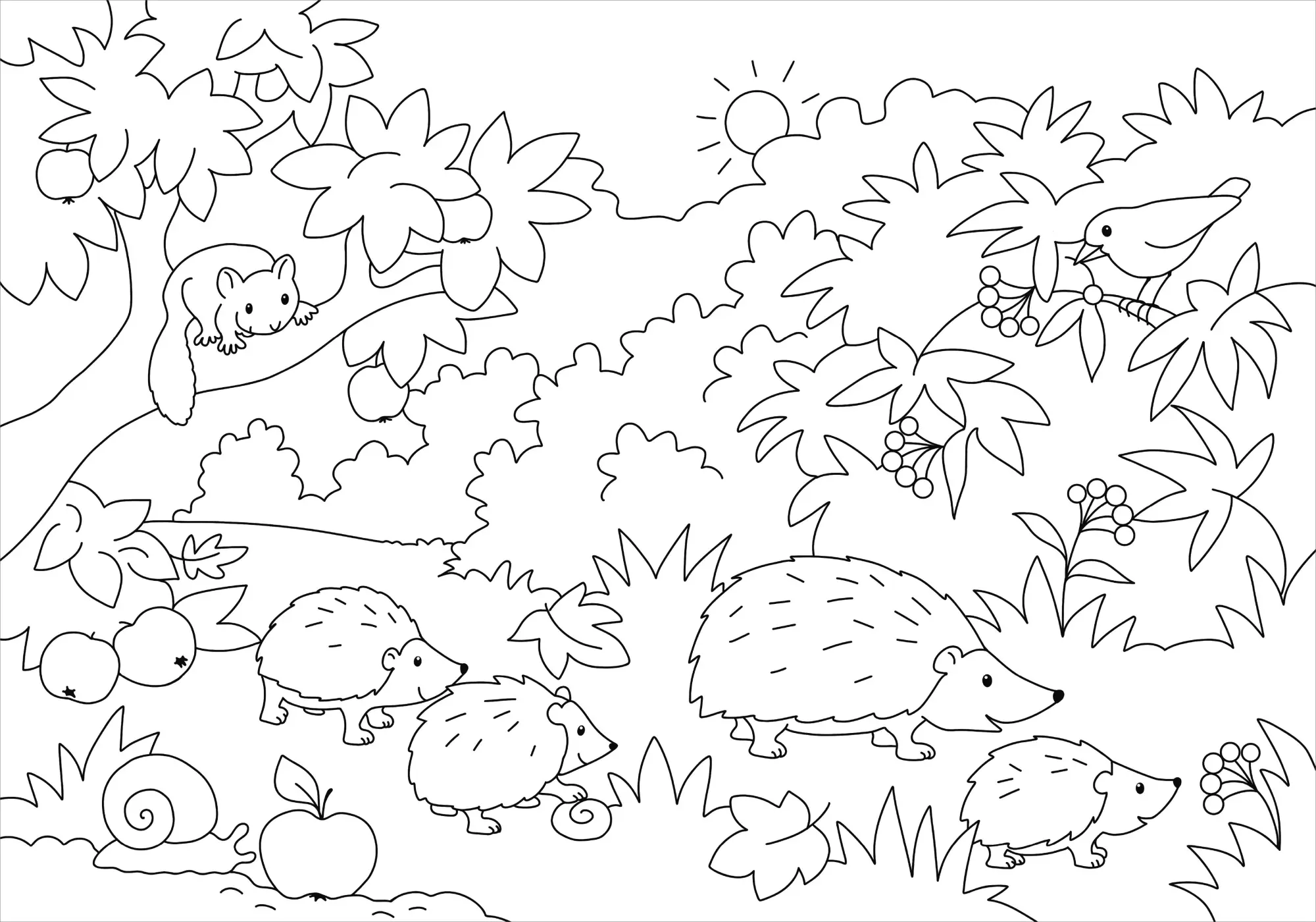 Bild: 9783788645540 | Mein schönstes Malbuch. Wald und Wiese | Malen für Kinder ab 5 Jahren