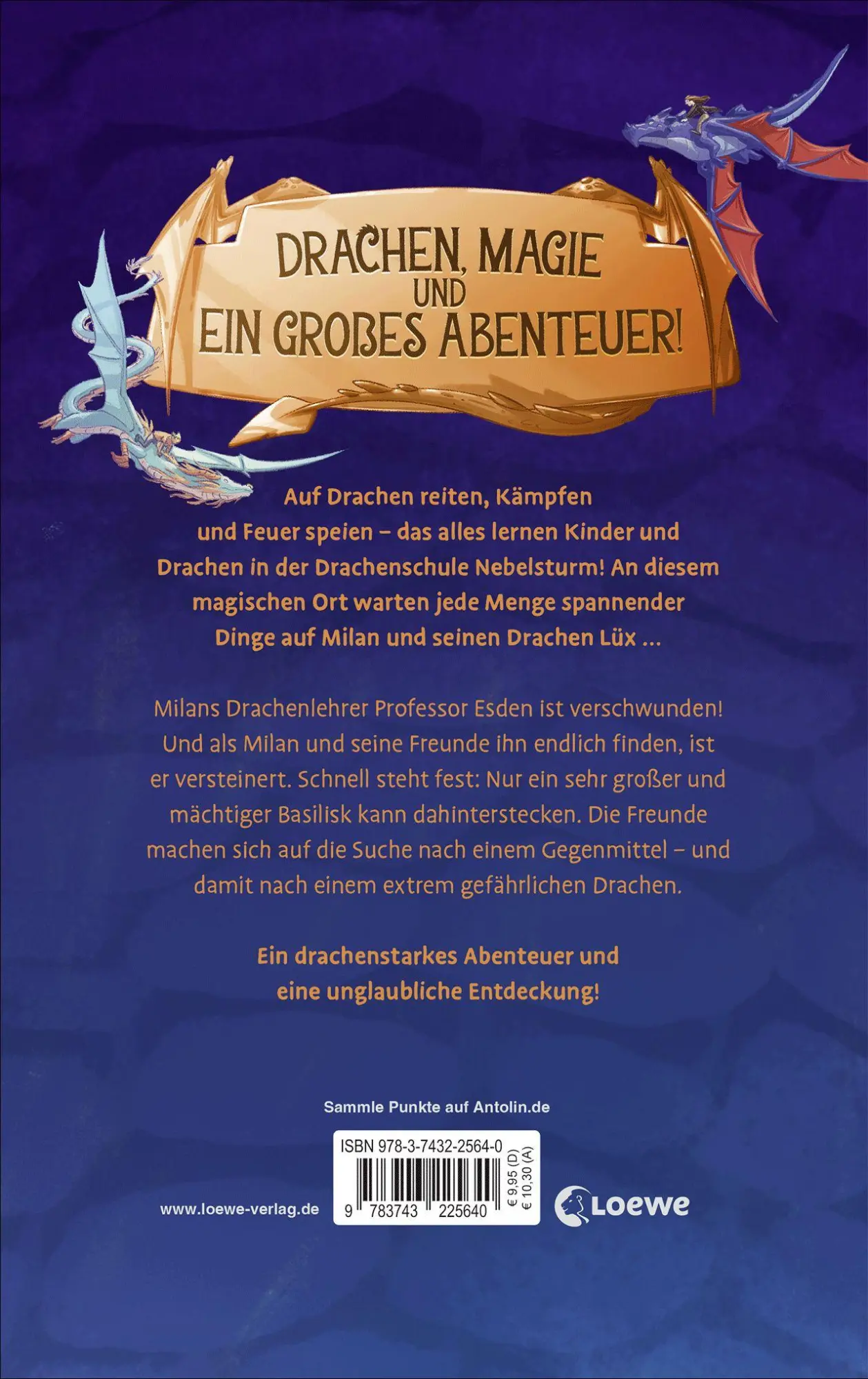 Bild: 9783743225640 | Drachenschule Nebelsturm (Band 5) - Der versteinerte Drache | Tielmann