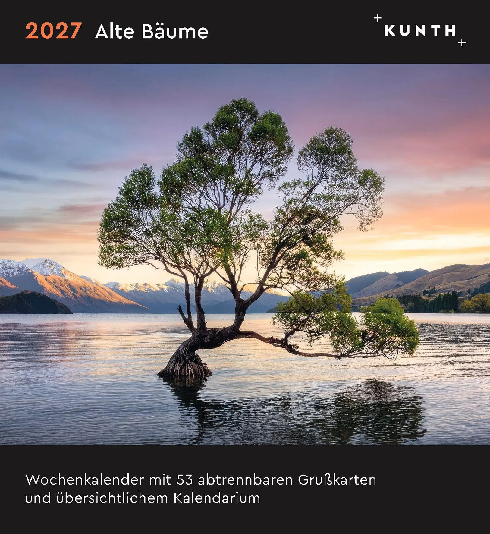 Cover: 9783965915640 | Alte Bäume - KUNTH Postkartenkalender 2027 | Kalender | 53 S. | 2027